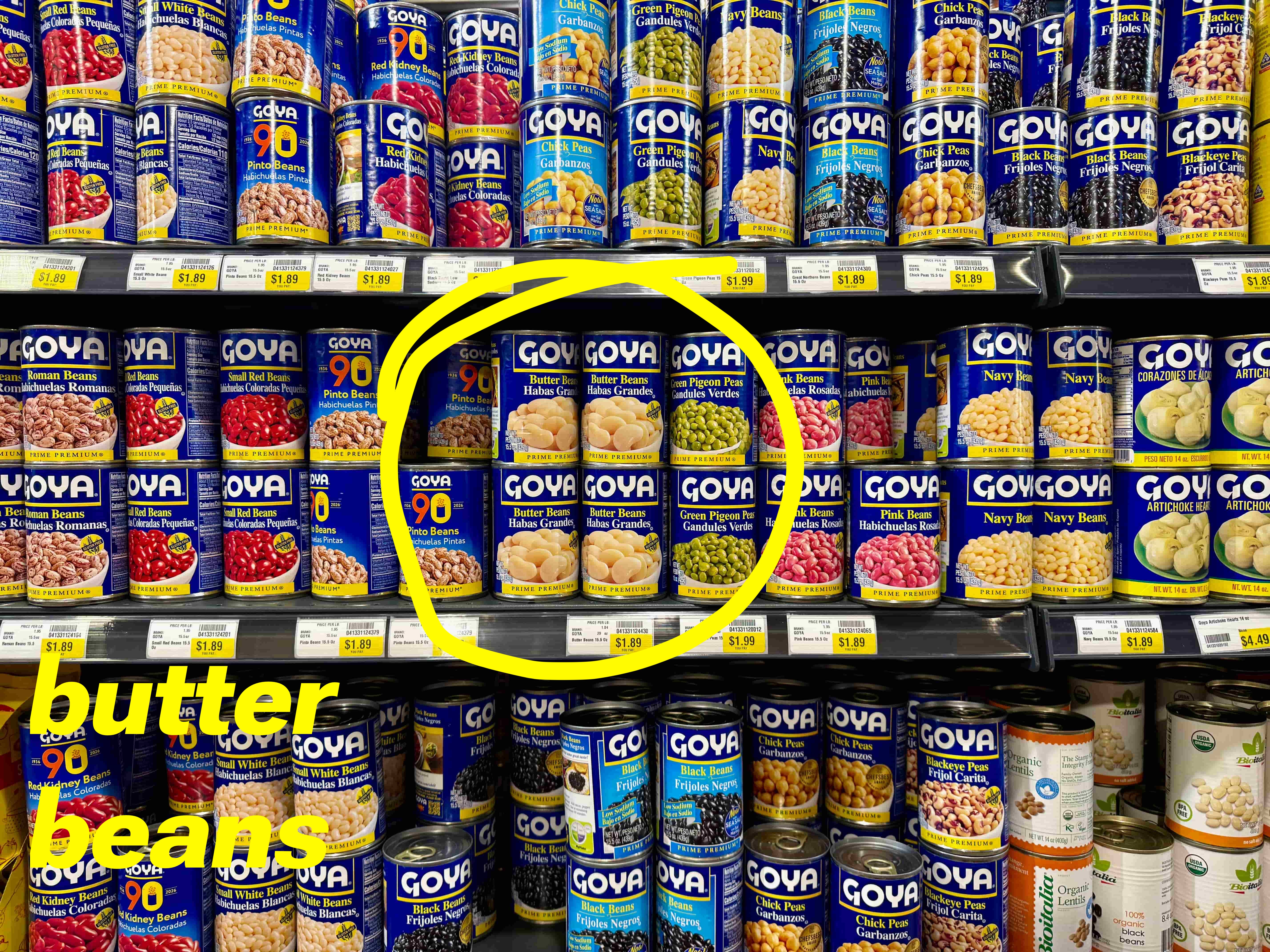 Many cans of beans lined up on grocery store shelves